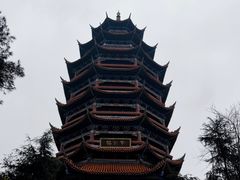 -铁山坪森林公园