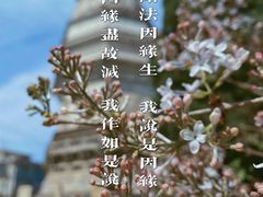 -白塔寺