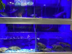 -王捌小院(红花坡店)