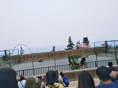 -东方熊牧场