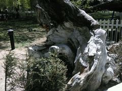 android_upload_pic-宗角禄康公园