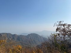 -大岭沟猕猴桃谷风景区
