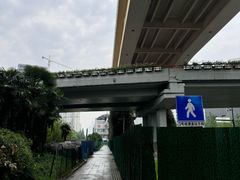 -漕溪路(地铁站)