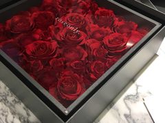 -ROSEONLY诺誓(青岛万象城店)