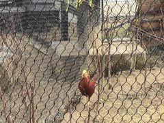 -武汉动物园