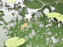 -云溪植物园