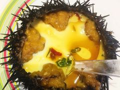 野生海胆蒸蛋-开海·红岛海鲜虾水饺(石老人店)