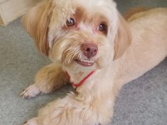 -爱诺耐芙动物医院(万博店)