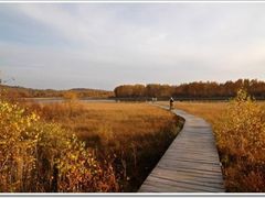 -塞罕坝国家级自然保护区