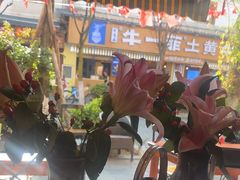 -大理.老字号渝记酸萝卜乌鱼(古城总店)