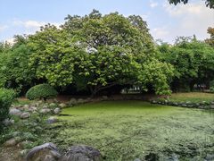 -堤角公园