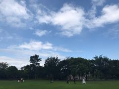 -吴淞炮台湾湿地森林公园烧烤区