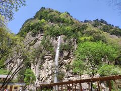 -青峰峡国家森林公园