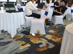 -紫苹果装饰·别墅大宅设计