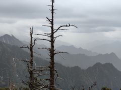 -碧峰峡风景区