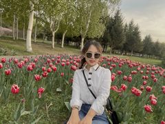 -长春公园(普阳街道)