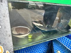 -好灶头妈妈菜·千岛湖柴火鱼餐厅(桐庐店)