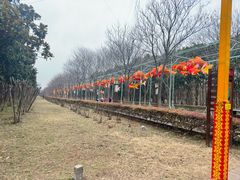 -洛阳市隋唐城遗址植物园