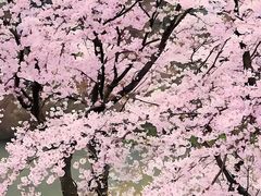 -堤角公园