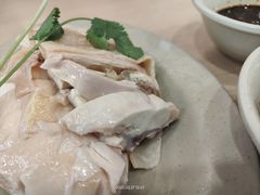 招牌百家鸡-百家鸡味馆(清泰店)