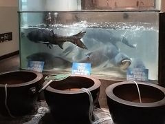 -上名堂·鱼头好吃(体育场路店)