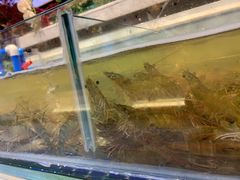 -川骄海鲜自助(河东店)