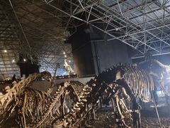 -世界恐龙谷景区