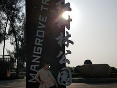 -宝安西湾红树林湿地公园