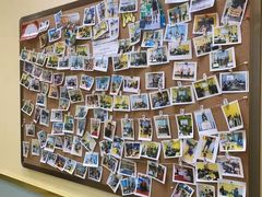 -童程童美少儿编程乐高机器人(沈河校区)