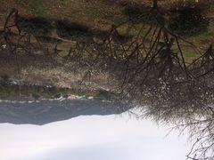 iphone_upload_pic-香雪海