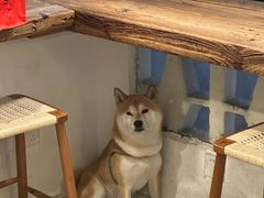 -三目仓咖啡(贤南路店)