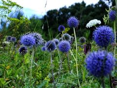 -天台山赤城山景区