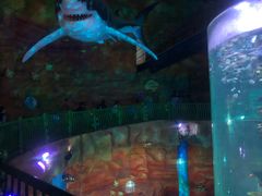 -青岛嘉年华主题乐园