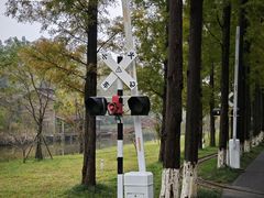 -黄海国家森林公园