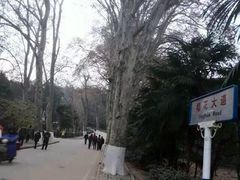 -武汉大学-樱园