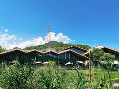 -西湖风景区-江洋畈生态公园