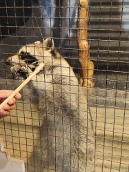 -酷嗒动物文化乐园(cutezoo西溪乐天城店)