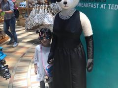 -济州岛泰迪熊博物馆