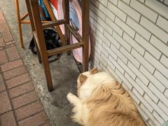 -豆舞咖啡(民乐路店)