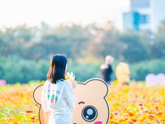 -南京信息职业技术学院
