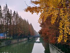 -上海大学(宝山校区)