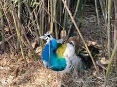 -宁波杭州湾国家湿地公园