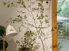 -COTTON CAFE(德信·中外公寓店)