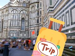 -圣母百花大教堂穹顶