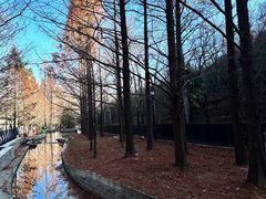 -白水寺森林公园