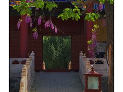 -北京国子监胡同