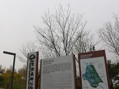 -东郊湿地公园