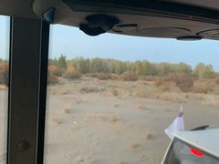 -金塔沙漠胡杨林景区