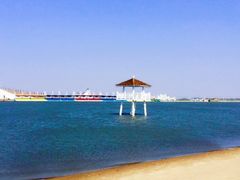 -呼兰河口湿地公园
