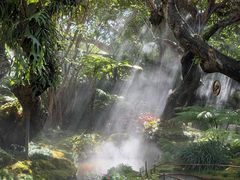 -Chom Cafe and Restaurant